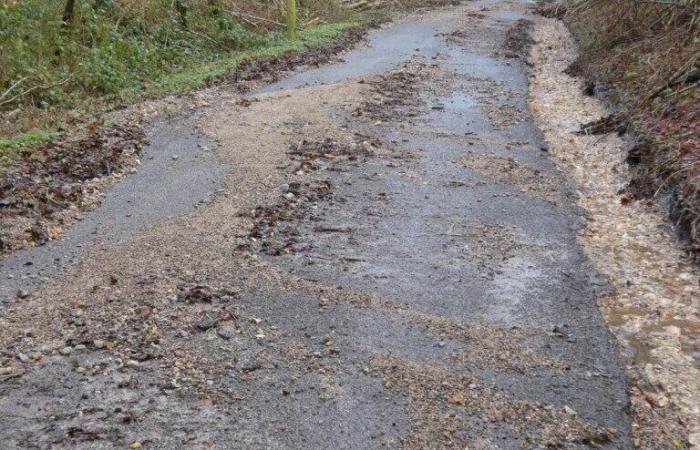 Rekordniederschläge zu Beginn des Jahres in der Region Bernay