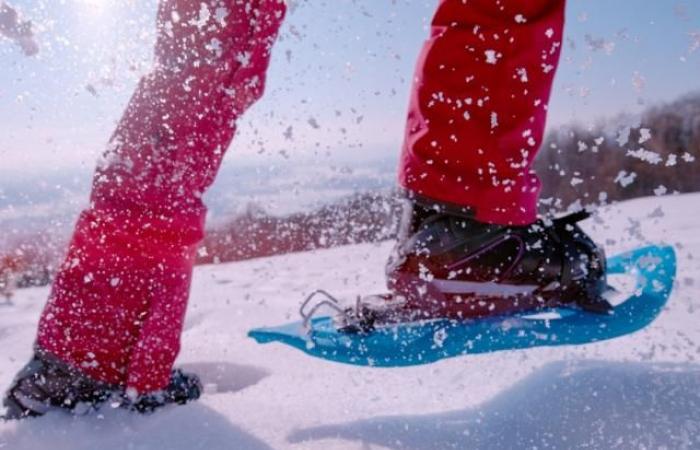 Was sind die besten Schneeschuhe im Jahr 2025?