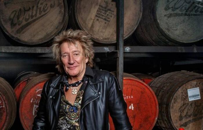 Penny Lancasters herzzerreißendes Geständnis von Rod Stewart, als er 80 wird | Promi-News | Showbiz und Fernsehen