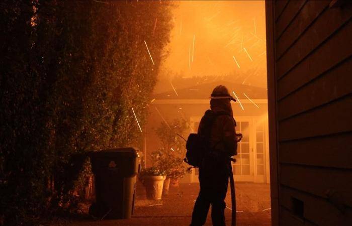 Der Einsatz von Handtaschen zur Brandbekämpfung stößt auf Kritik