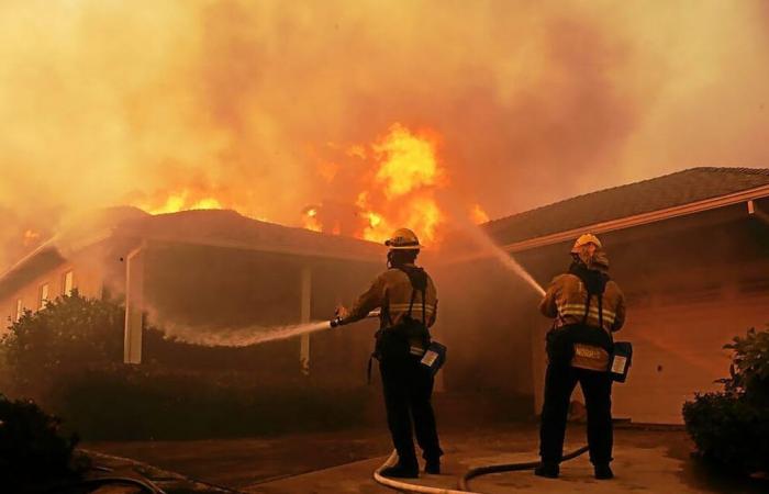 Verheerende Brände in Los Angeles: Laeticia Hallyday, Paris Hilton … Stars sehen, wie ihre Villen von Flammen verwüstet werden