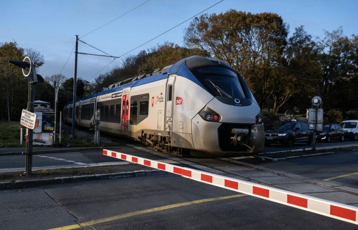 Der SNCF-Verkehr zwischen Lyon, Grenoble und Chambéry steht still