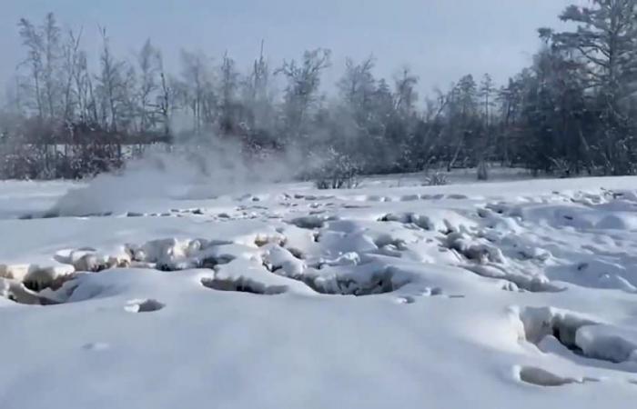 Zombiefeuer, auch im Winter vorhanden