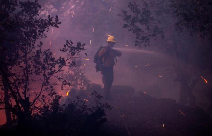 Zwischen Flammen und Desinformation überkommt Panik die Stadt der Engel