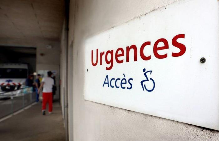 „Die Grippe trifft hart und hart“: Das Montauban-Krankenhaus wiederum löst den weißen Plan aus