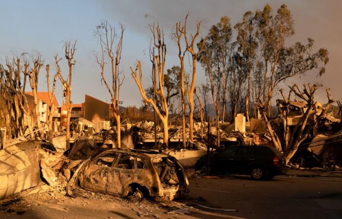 Los Angeles | Brände breiten sich aus, die Zahl der Todesopfer steigt auf 16