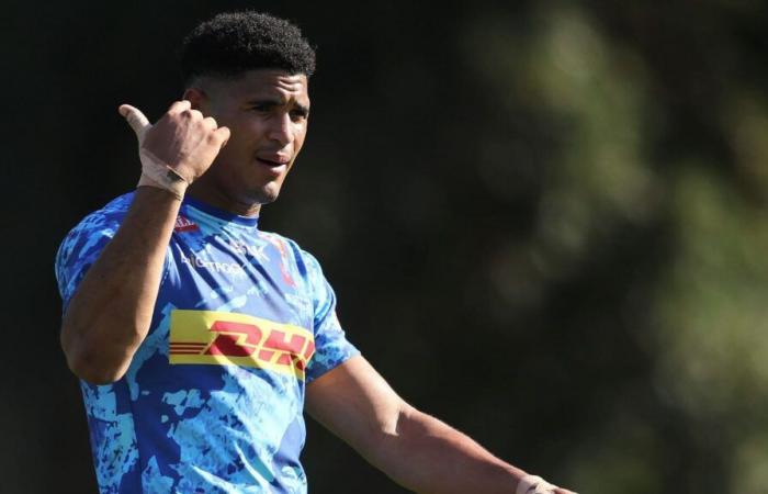 Springboks: Feinberg-Mngomezulus besorgniserregendes Update nach dem „Risiko“ der Stormers: Planet Rugby