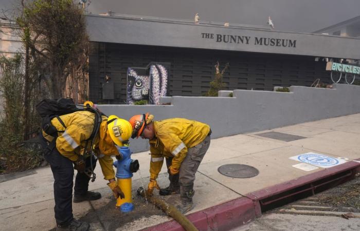 Getty Villa, Will Rogers Ranch und andere Wahrzeichen, die von den Waldbränden in Los Angeles betroffen waren