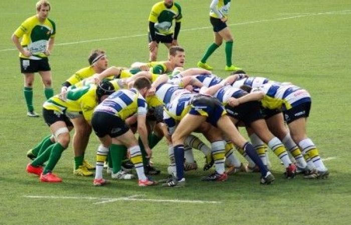 der ökologische Unsinn des europäischen Rugby