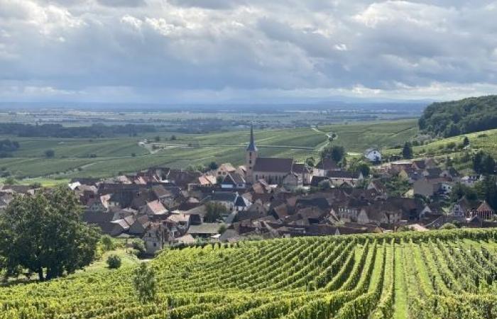 ein Gourmet- und Kulturausflug an der elsässischen Weinstraße