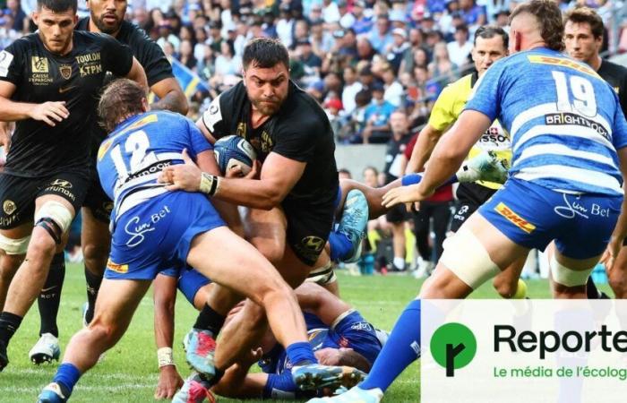 der ökologische Unsinn des europäischen Rugby