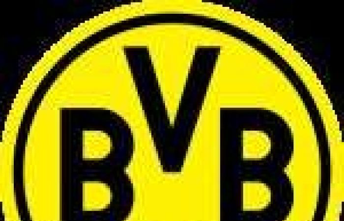 Leverkusen éteint Dortmund – Bundesliga – J16 – Dortmund-Leverkusen (2-3)