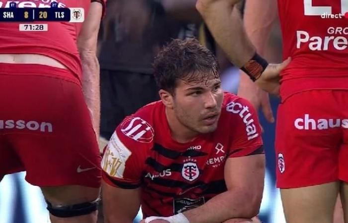 Champions Cup. Ohne Elan zähmt Stade Toulousain die Sharks, ein frustrierendes Spiel