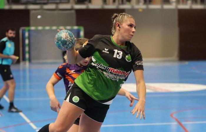 Handball (N2F): Das Spiel der Angst um die Wiederaufnahme von Aljo