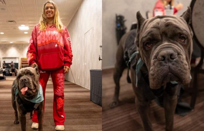 Warum hatte Mackenzie Dern bei der UFC Vegas 101-Pressekonferenz einen Hund zur emotionalen Unterstützung dabei? Wird das Hündchen am Kampftag auftauchen?