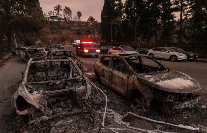 Überlebende des Brandes in Los Angeles kehren in zerstörte Häuser und verbrannte Erinnerungen zurück | Nachricht