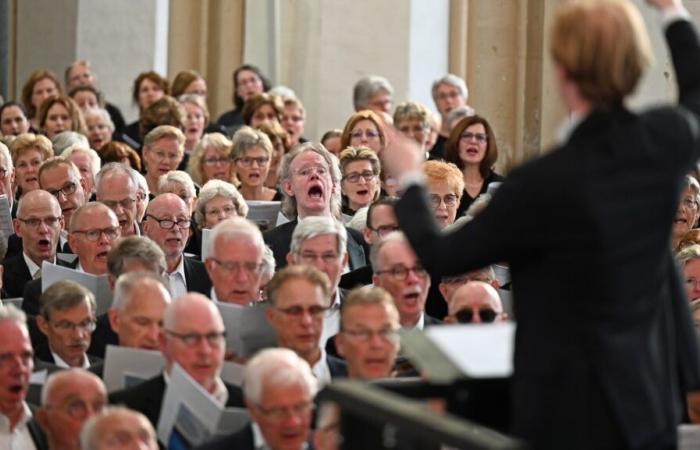 Gründung der Drachten-Region des großen niederländischen Johannes-de-Heer-Chores