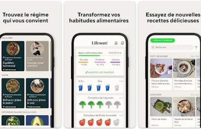 5 wichtige Apps zur Verwaltung Ihrer täglichen Ernährung und Kalorien