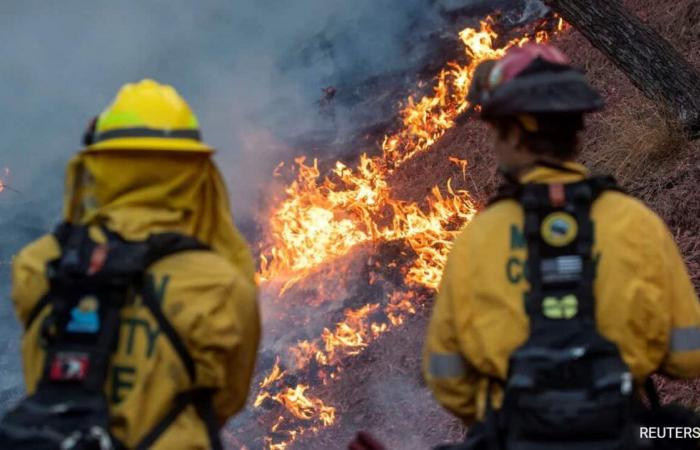 24 Tote, über 12.000 Gebäude verbrannt bei Waldbränden in Los Angeles: 10 Punkte