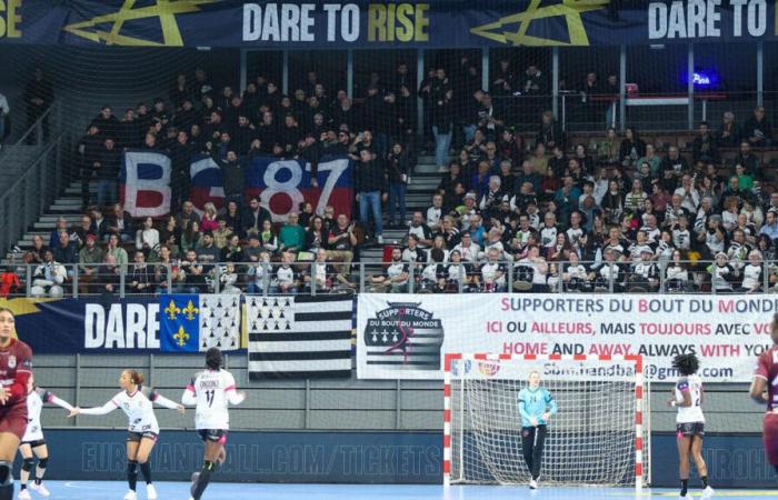 Fußball: Lyon-Fans, die wegen Brest-OL aus dem Francis-Le-Blé-Stadion ausgeschlossen wurden, landen beim Handballspiel der Frauen