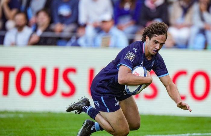 Challenge Cup – Montpellier – Lions: die Zusammenfassung des verbesserten Sieges der Héraultais