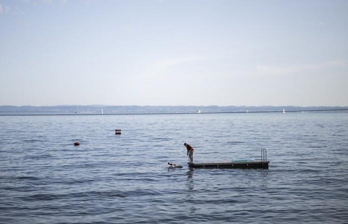 Knochen in der Nähe von Flugzeugwrack im Bodensee gefunden