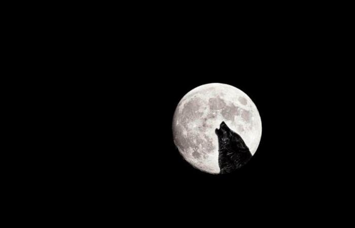 Der „Wolfsmond“ und der Mars werden Sie heute Abend treffen!