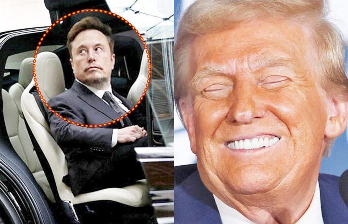 Die aktuelle Situation ist, dass Elon Musk von Trump, dem er vertraute, in den Rücken gefallen ist.