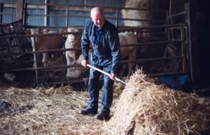 Wer sind die fünfzehn Bauern der 20. Staffel?