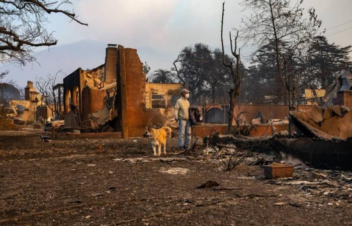 Durch Trauer, Gemeinschaft und Skepsis erneut über Waldbrände berichten