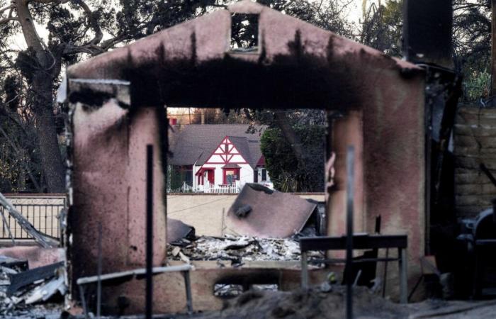 Bei Waldbränden in Los Angeles, Kalifornien, kommen mindestens 24 Menschen ums Leben