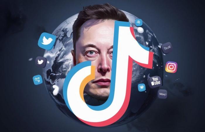 Elon Musk erwägt den Kauf von TikTok: Steht eine Revolution bevor?