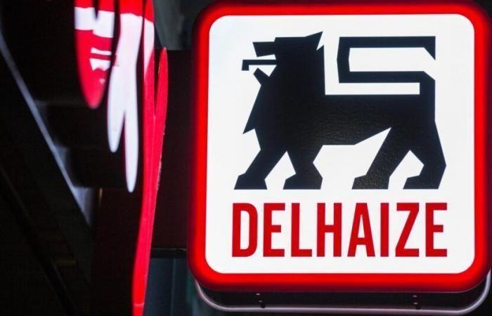 Delhaize gibt die Übernahme von Louis Delhaize bekannt