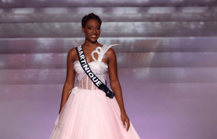 Angélique Angarni-Filopon (Miss France 2025) verbrüht einen Passagier mitten im Flug