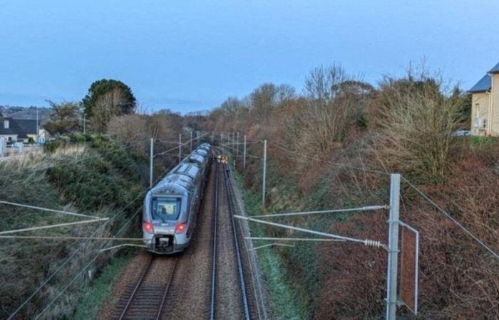 Der Zugverkehr wurde wieder aufgenommen