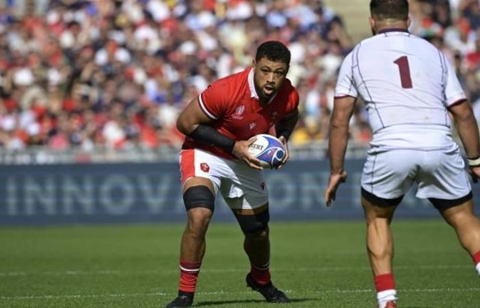 Adams, Faletau, Williams zurück bei Wales (Rugby)