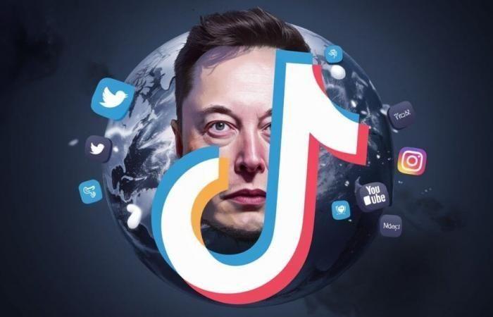 Elon Musk will TikTok kaufen: Steht eine Revolution bevor?