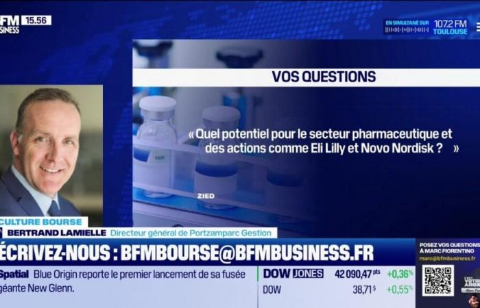 „Welches Potenzial haben der Pharmasektor und Aktien wie Eli Lilly und Novo Nordisk?“ von Aude Kersulec