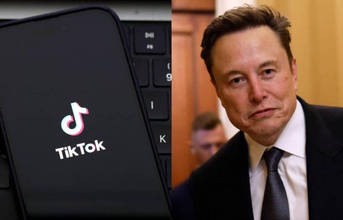 Berichten zufolge befindet sich Elon Musk in Gesprächen über den Kauf von TikTok