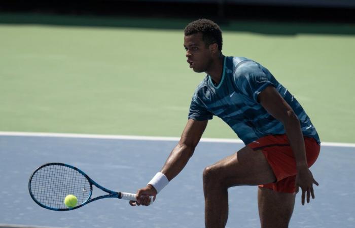 Australian Open Day 3 Herren-Vorhersagen, einschließlich Monfils gegen Mpetshi Perricard