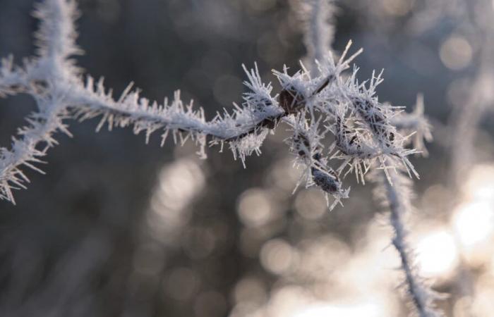 Diese Woche setzt in Frankreich trockenes, aber kaltes Wetter ein