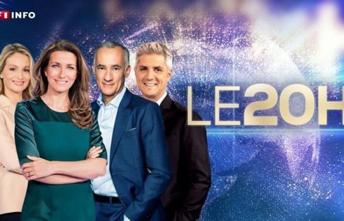 Die 20-Uhr-Nachrichten auf TF1 am Montag, 13. Januar 2025