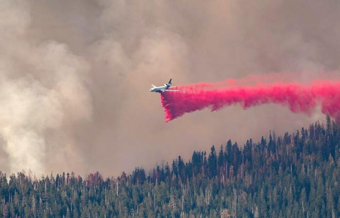 Brände in Kalifornien: 60 kanadische Feuerwehrleute im Einsatz