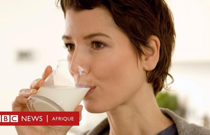 Ein Glas Milch am Tag senkt das Darmkrebsrisiko – Studie