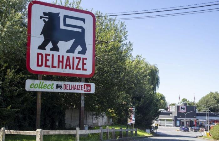 Delhaize gibt die Übernahme von 325 Louis Delhaize-Filialen bekannt