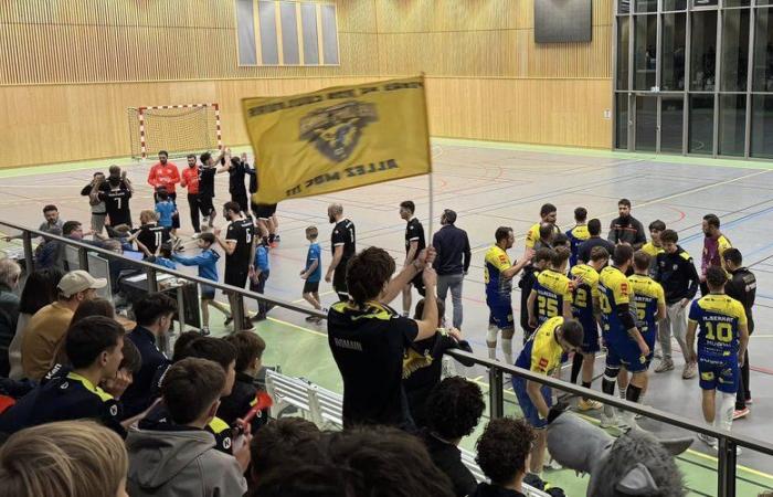 Geschichte! Der Mende Gévaudan Club Handball qualifizierte sich zum ersten Mal in seiner Geschichte für das Achtelfinale des regionalen französischen Pokals