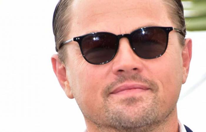 Leonardo DiCaprio floh vor den Bränden in Los Angeles mit einem Privatjet nach Mexiko