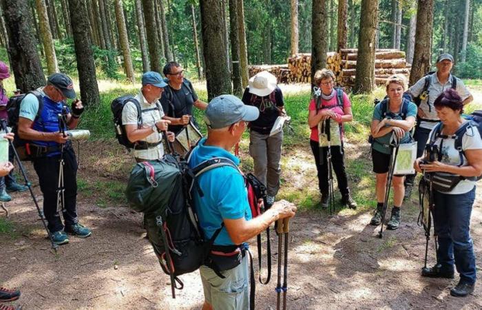 Bas-Rhin. Im März und September Ausbildung zum Wanderführer