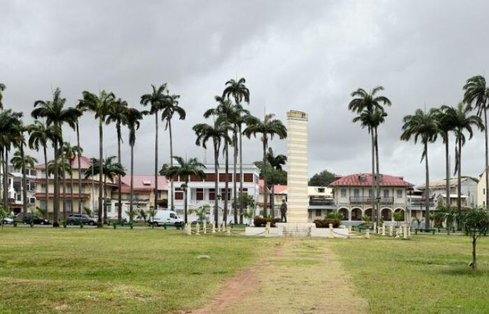 Die Addiction Federation, Partner von Suchtstrukturen in Guyana