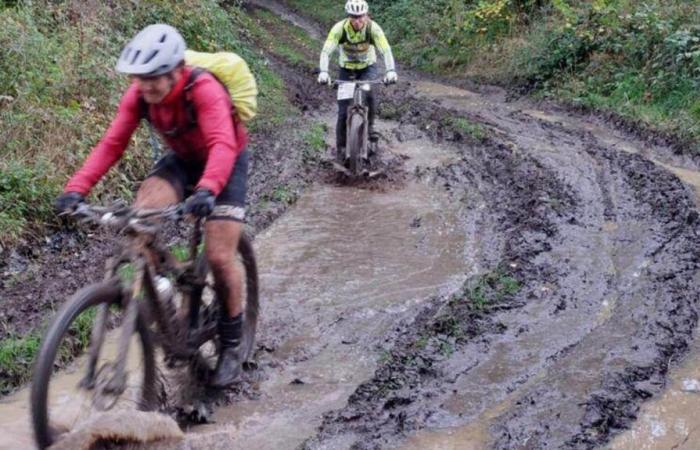 Die Wanderungen erfordern Wasser